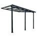 Pergola pentru perete, acoperita cu policarbonat, 312x254x206/250 cm
