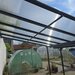 Pergola pentru perete, acoperita cu policarbonat, 312x254x206/250 cm